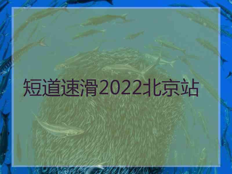 短道速滑2022北京站