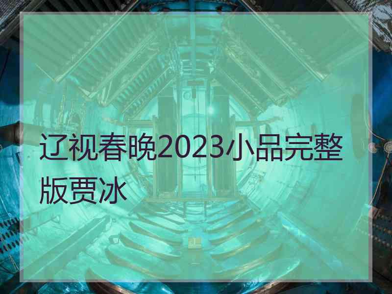 辽视春晚2023小品完整版贾冰