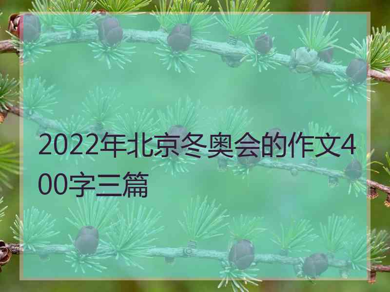 2022年北京冬奥会的作文400字三篇