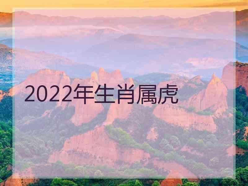 2022年生肖属虎