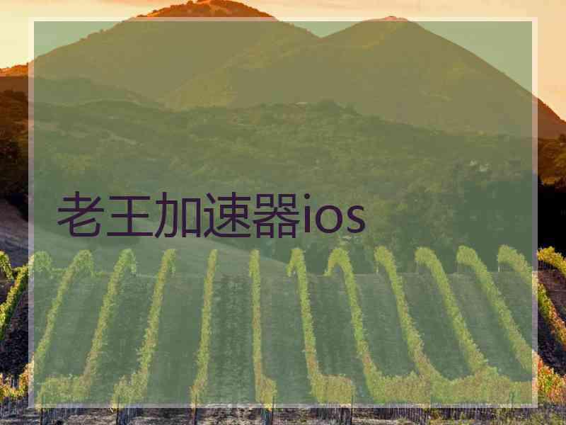 老王加速器ios