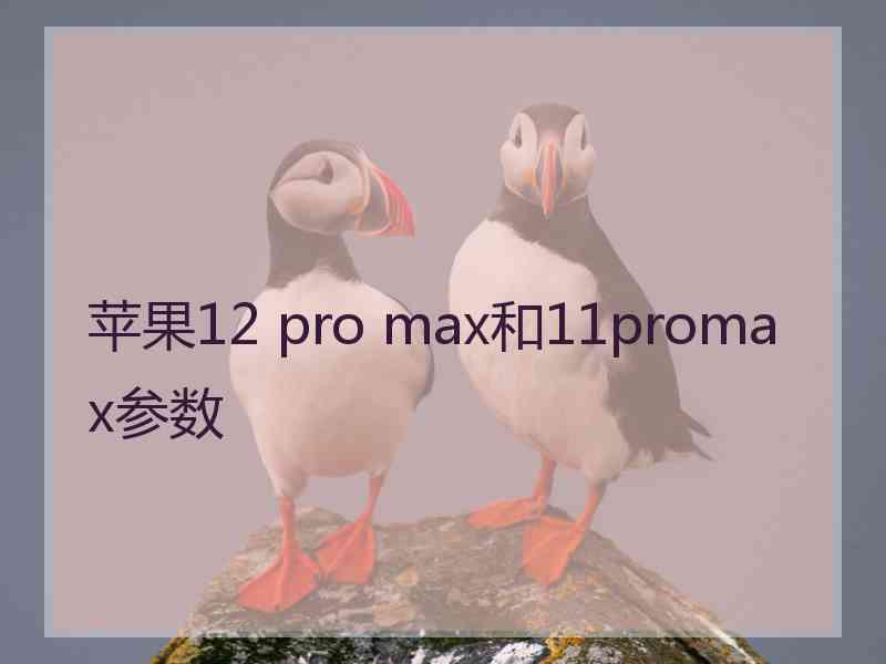 苹果12 pro max和11promax参数