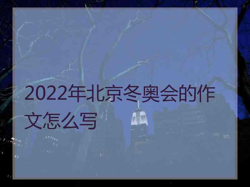 2022年北京冬奥会的作文怎么写