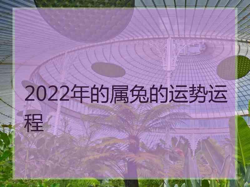 2022年的属兔的运势运程