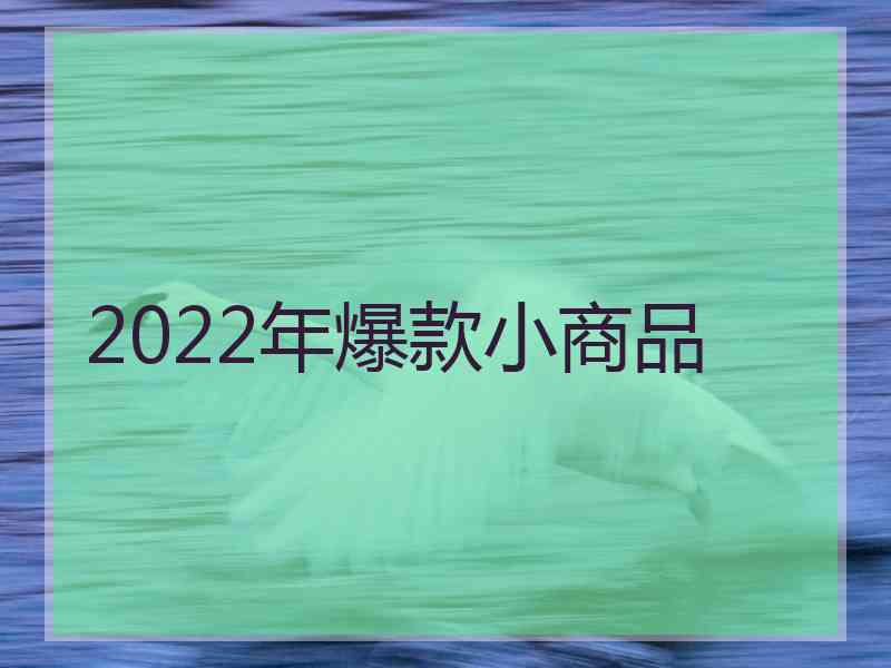 2022年爆款小商品