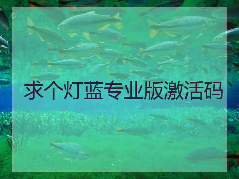 求个灯蓝专业版激活码