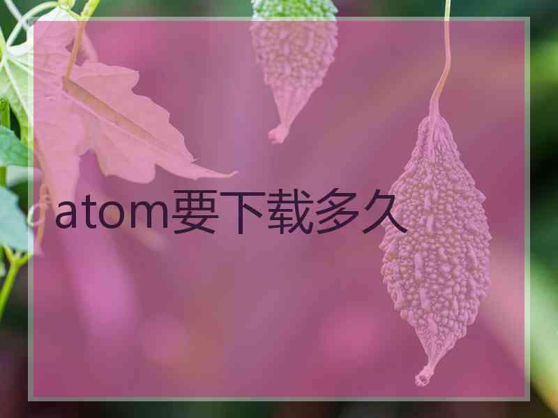 atom要下载多久