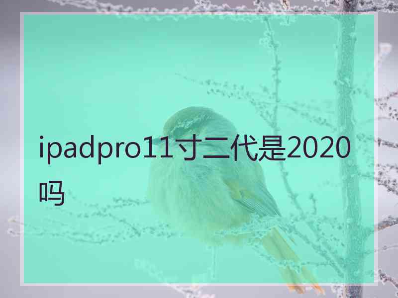 ipadpro11寸二代是2020吗