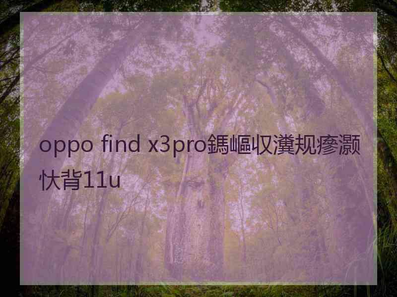 oppo find x3pro鎷嶇収瀵规瘮灏忕背11u