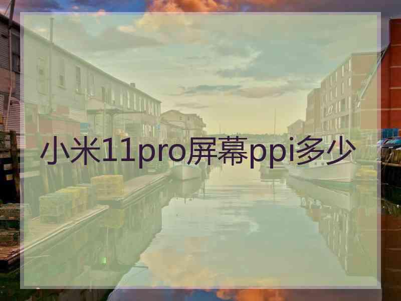 小米11pro屏幕ppi多少