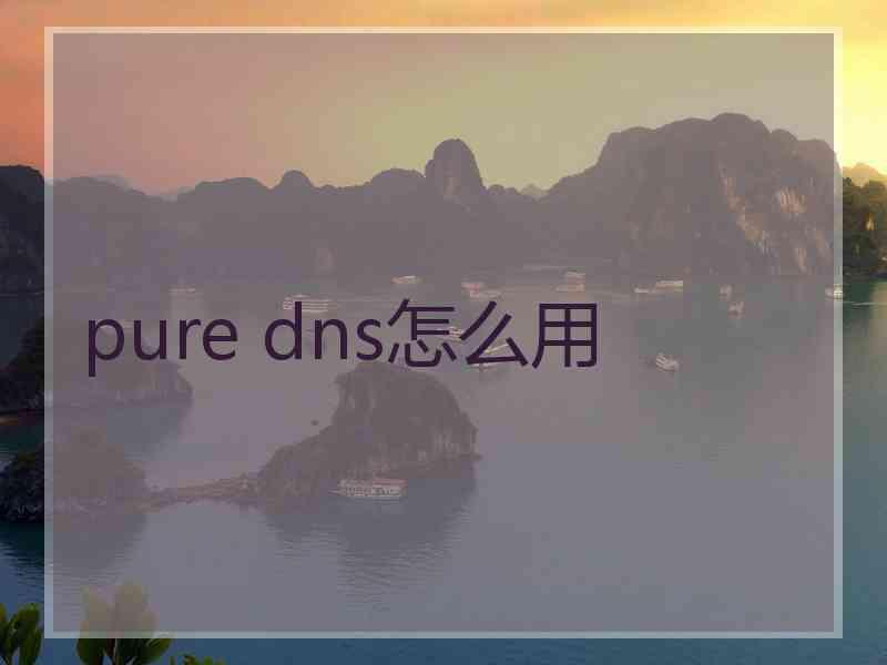 pure dns怎么用