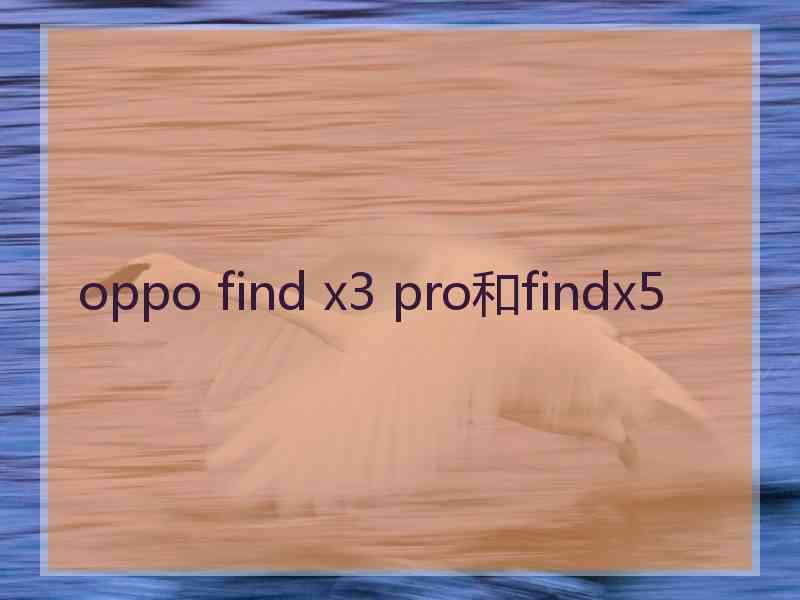 oppo find x3 pro和findx5