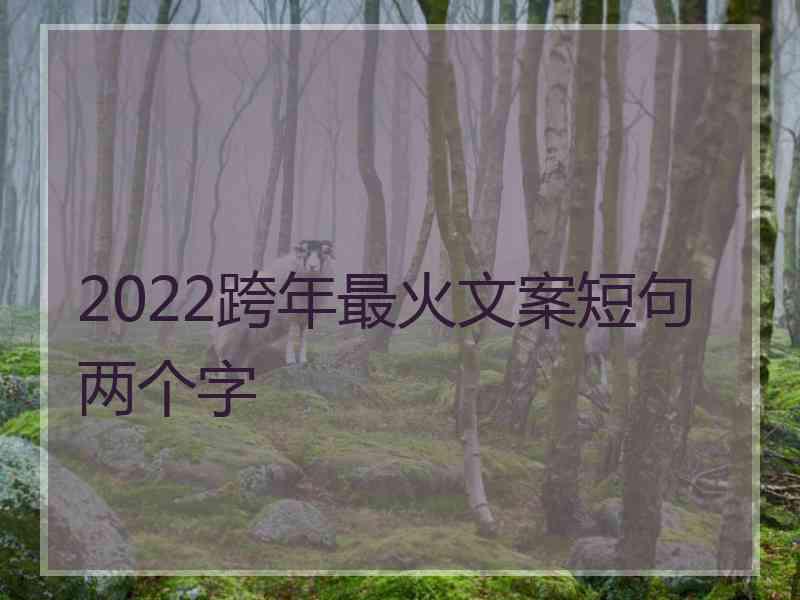 2022跨年最火文案短句两个字