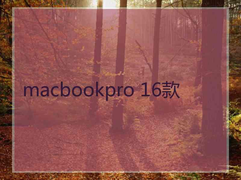 macbookpro 16款