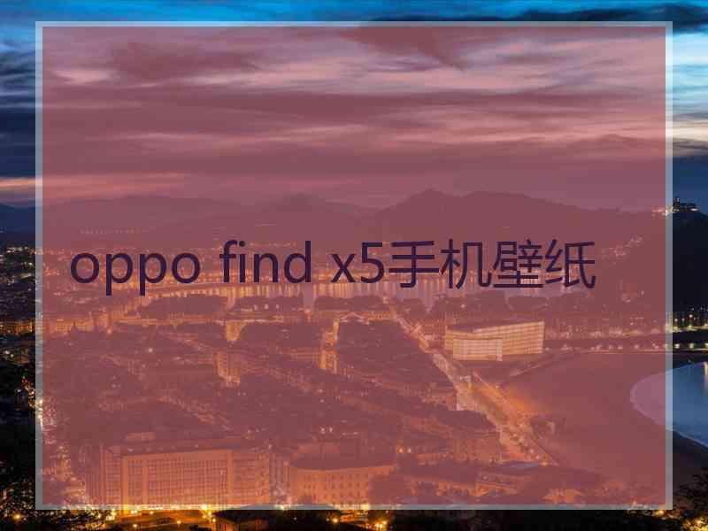 oppo find x5手机壁纸