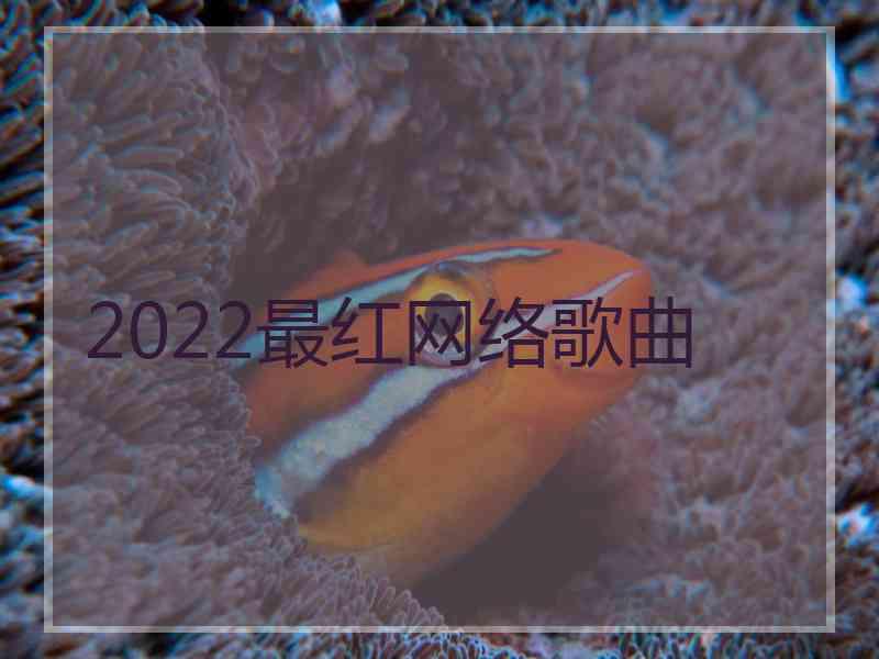 2022最红网络歌曲