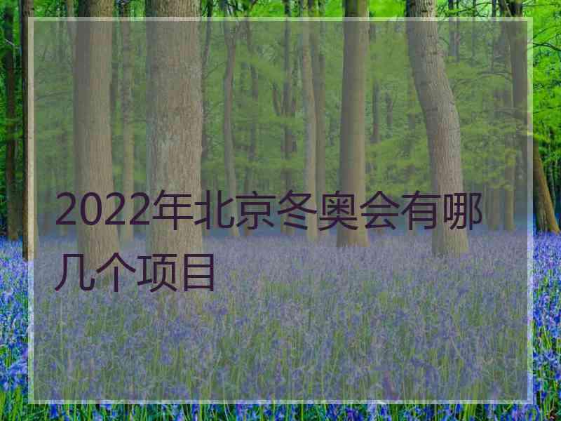 2022年北京冬奥会有哪几个项目