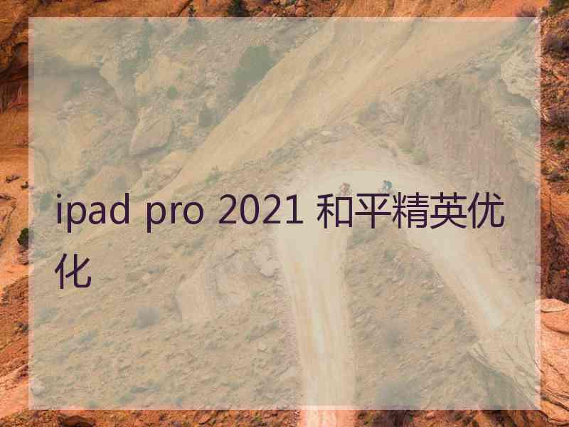 ipad pro 2021 和平精英优化