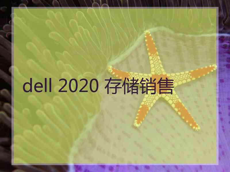 dell 2020 存储销售