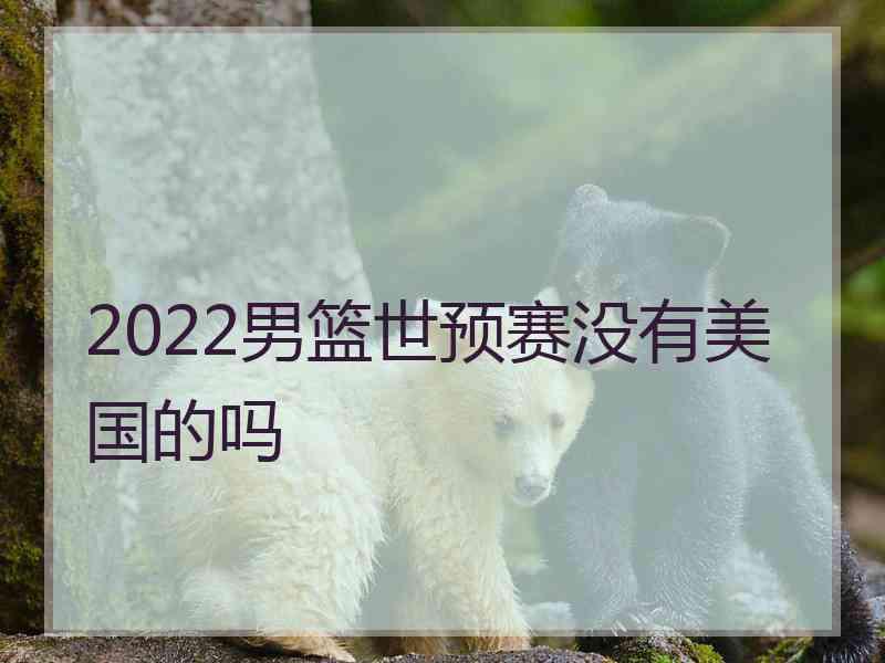 2022男篮世预赛没有美国的吗