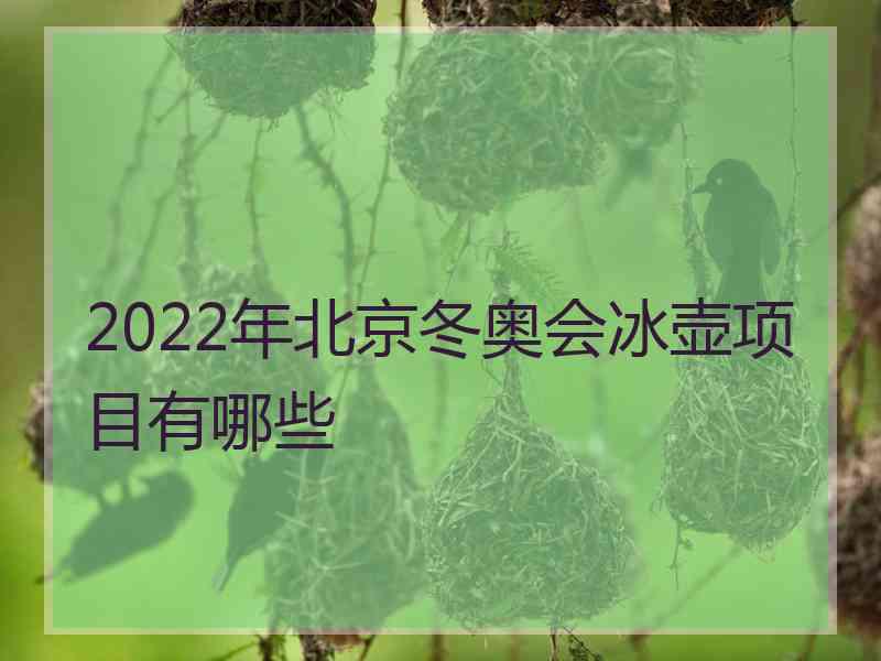 2022年北京冬奥会冰壶项目有哪些