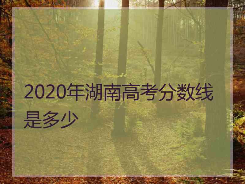 2020年湖南高考分数线是多少