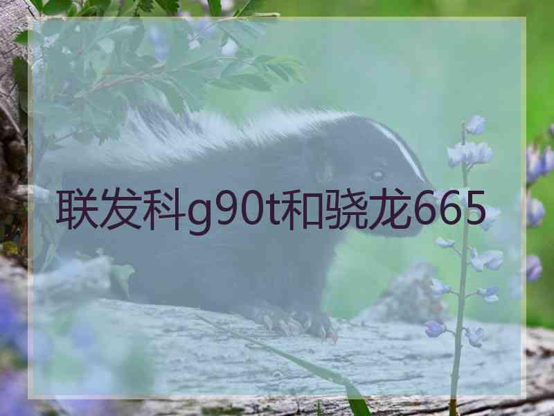 联发科g90t和骁龙665