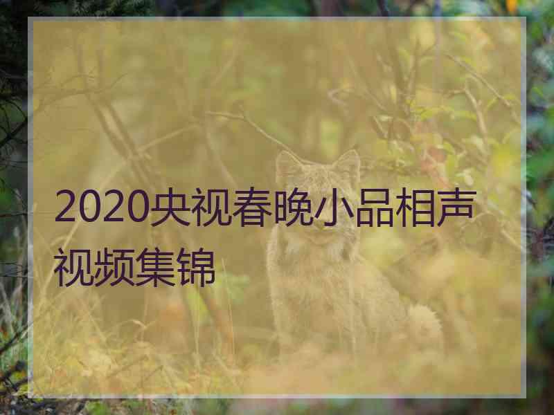 2020央视春晚小品相声视频集锦