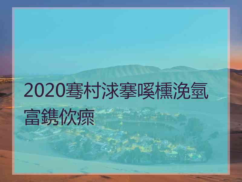 2020骞村浗搴嗘櫄浼氫富鎸佽瘝