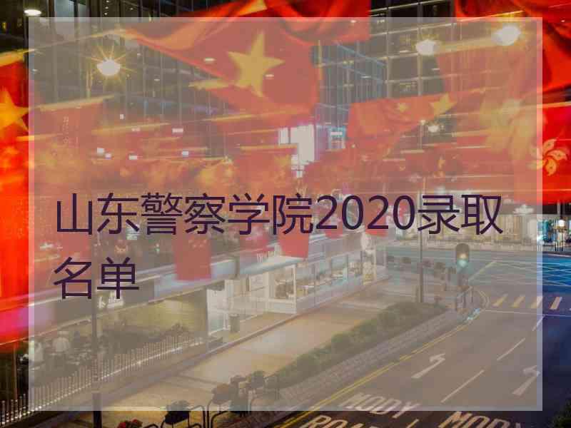 山东警察学院2020录取名单