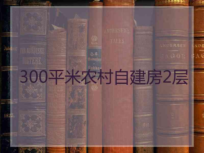 300平米农村自建房2层