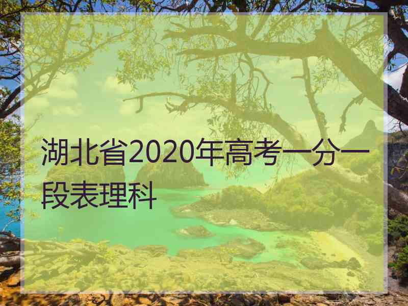 湖北省2020年高考一分一段表理科