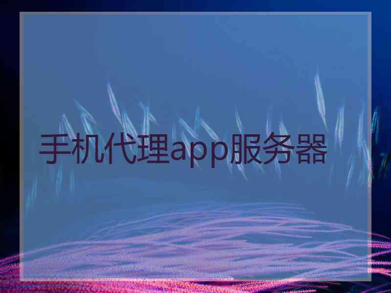 手机代理app服务器