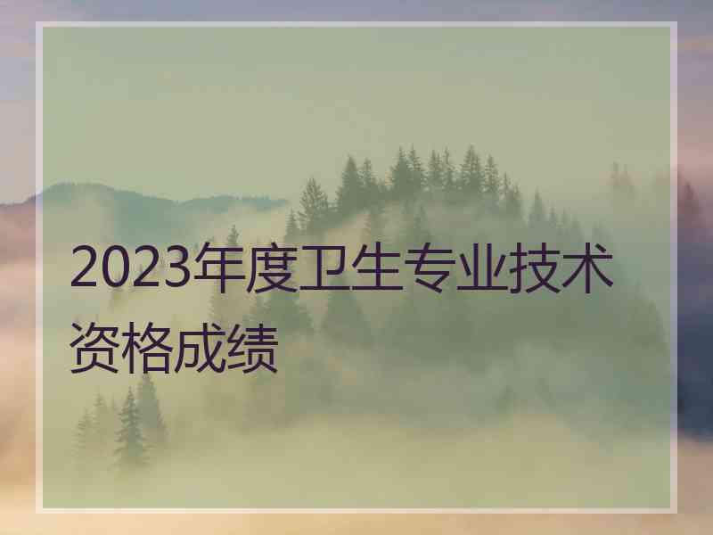 2023年度卫生专业技术资格成绩