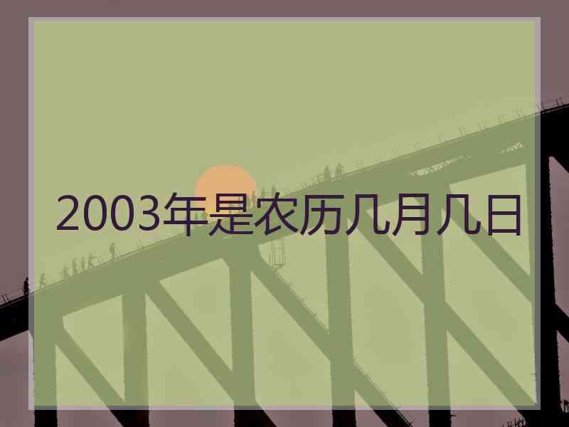 2003年是农历几月几日