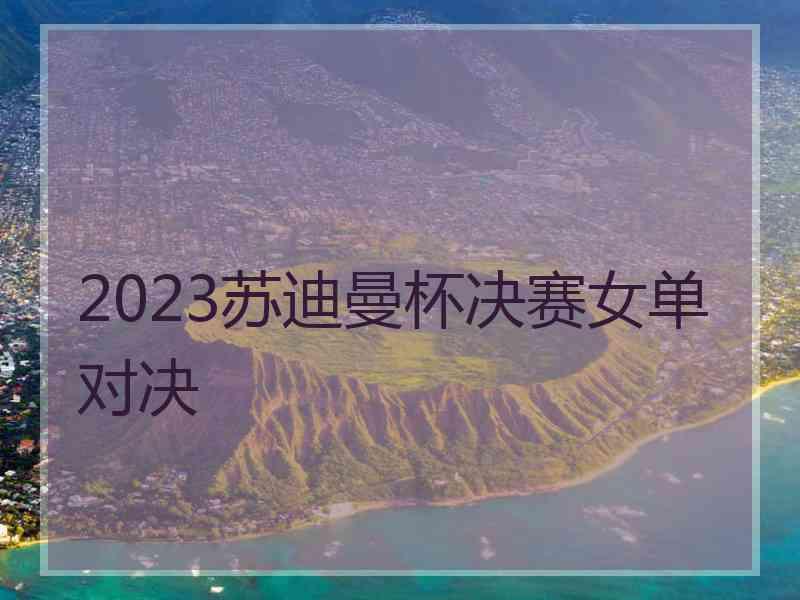 2023苏迪曼杯决赛女单对决