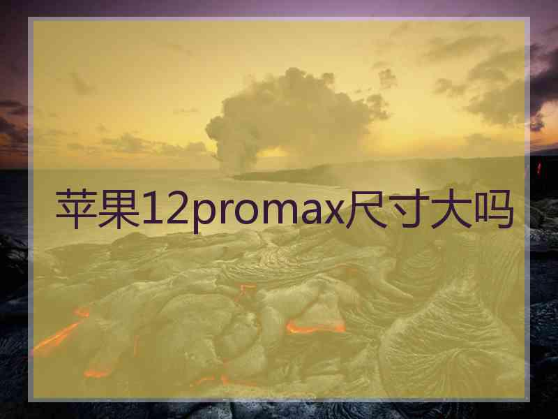 苹果12promax尺寸大吗