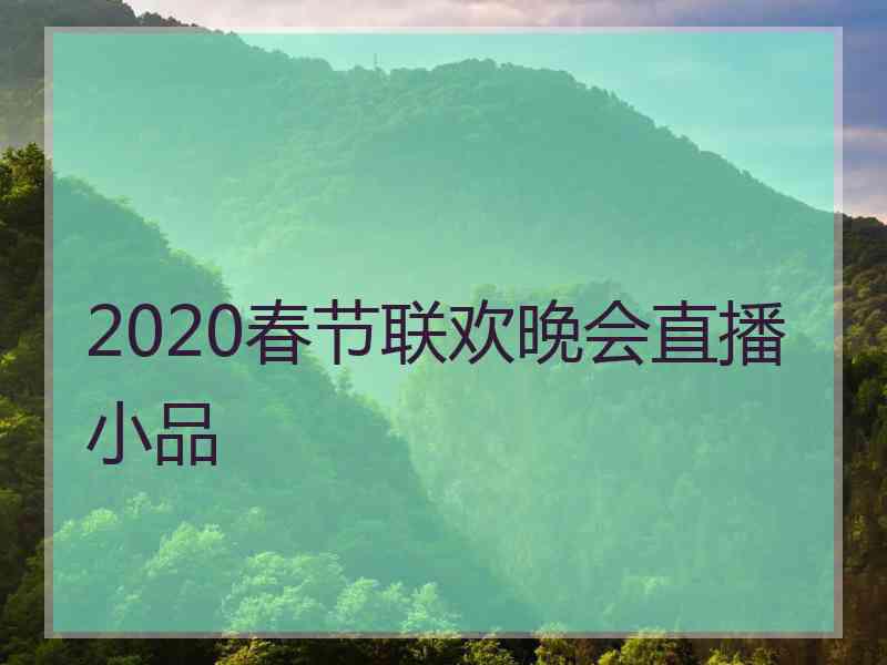 2020春节联欢晚会直播小品