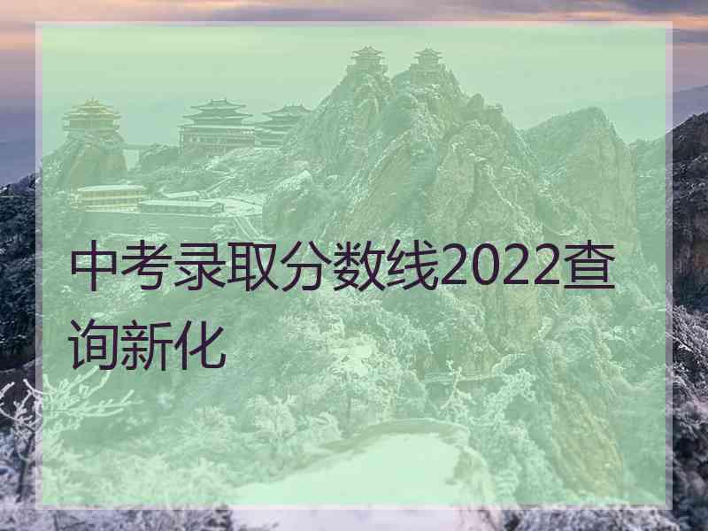 中考录取分数线2022查询新化