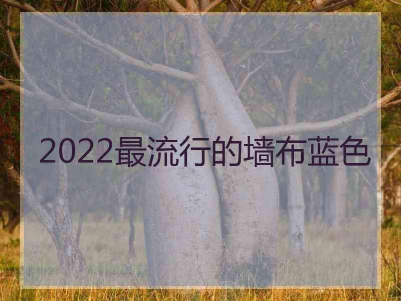 2022最流行的墙布蓝色