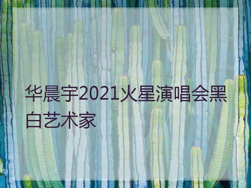 华晨宇2021火星演唱会黑白艺术家