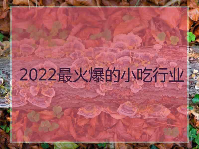 2022最火爆的小吃行业