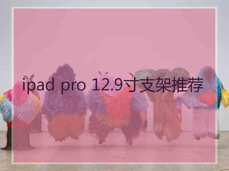 ipad pro 12.9寸支架推荐