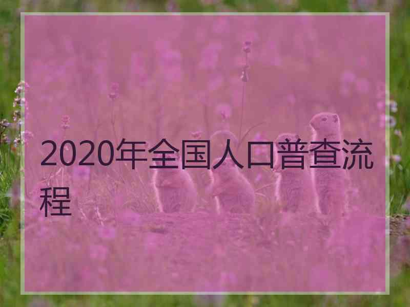 2020年全国人口普查流程