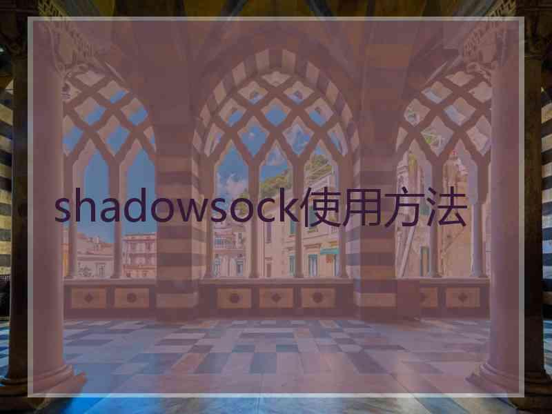 shadowsock使用方法