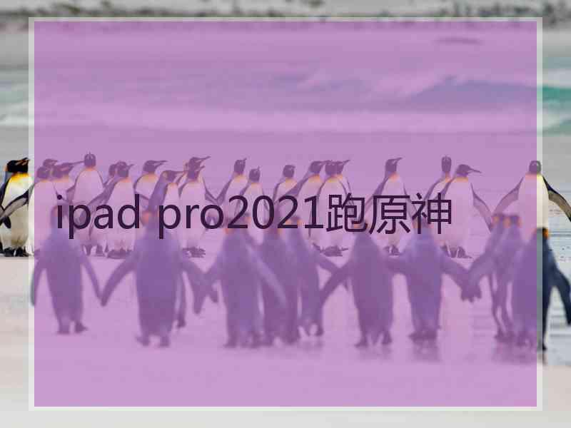 ipad pro2021跑原神