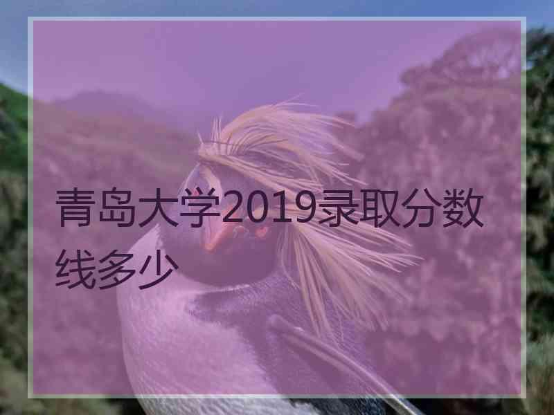 青岛大学2019录取分数线多少