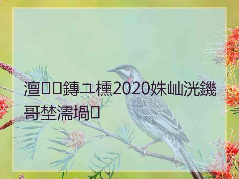 澶鏄ユ櫄2020姝屾洸鐖哥埜濡堝