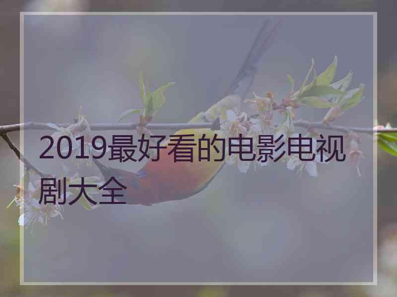 2019最好看的电影电视剧大全