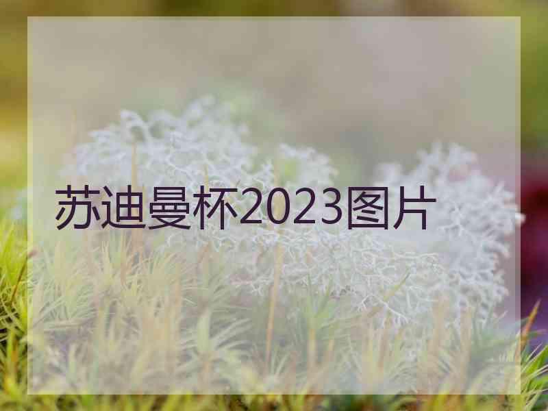 苏迪曼杯2023图片